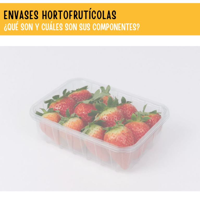 Envases Para Fruta C Mo Deben Ser Termoformas Levante